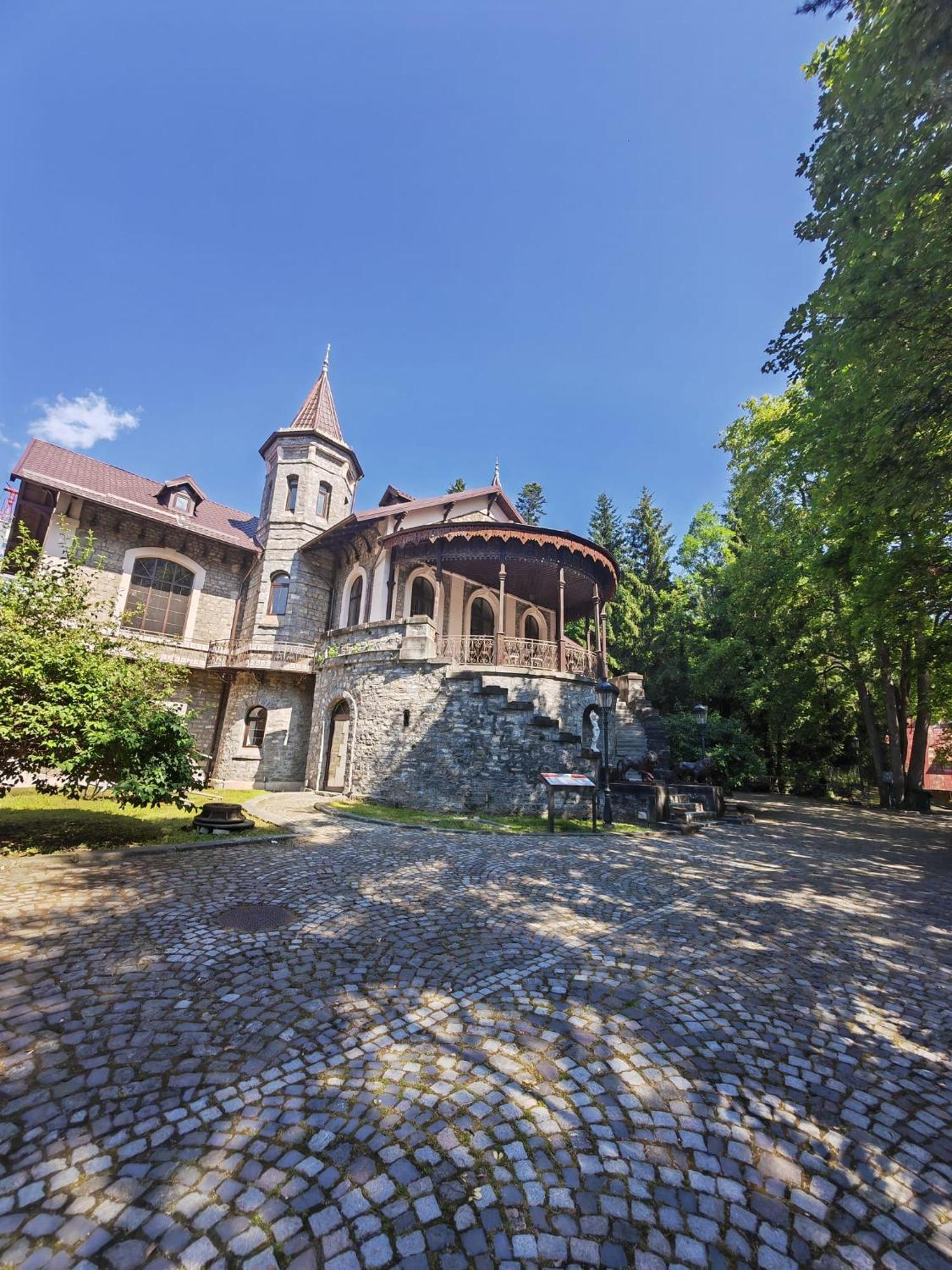 Castelul Stirbey Hotel Sinaia Exterior photo