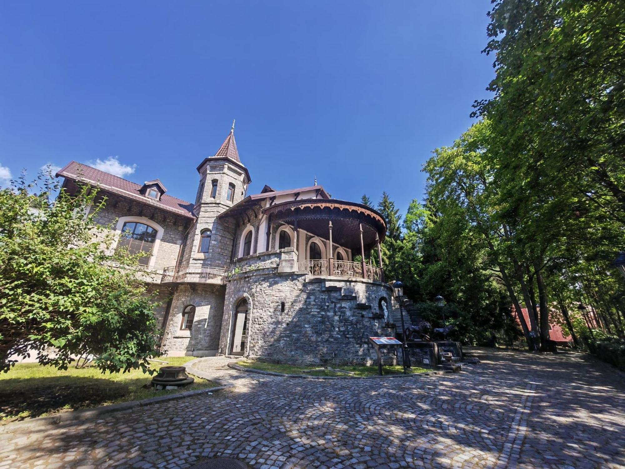 Castelul Stirbey Hotel Sinaia Exterior photo